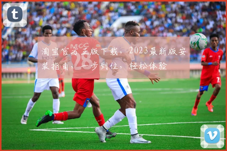 淘宝官方正版下载，2023最新版安装指南，一步到位，轻松体验