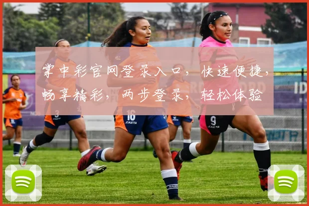掌中彩官网登录入口，快速便捷，畅享精彩，两步登录，轻松体验