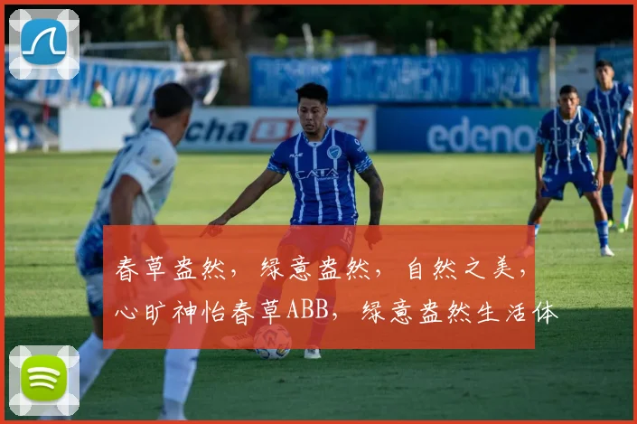 春草盎然，绿意盎然，自然之美，心旷神怡春草ABB，绿意盎然生活体验