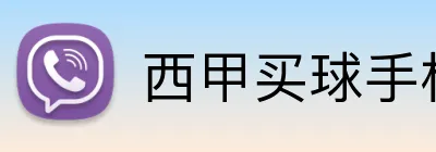 西甲买球手机投注 logo
